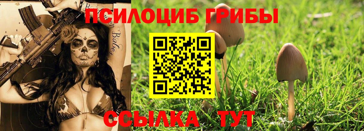 Alpha PVP Дербент