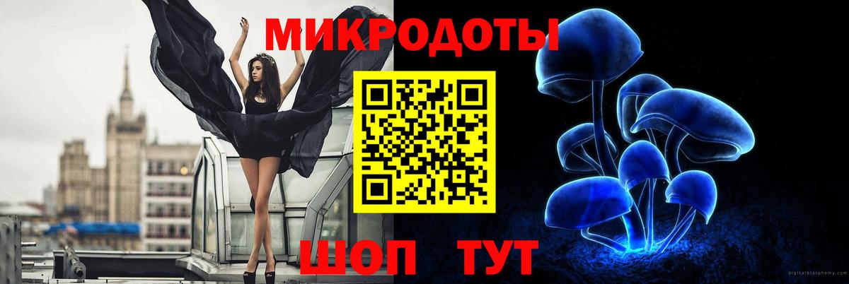 Галлюциногенные грибы Cubensis Дербент